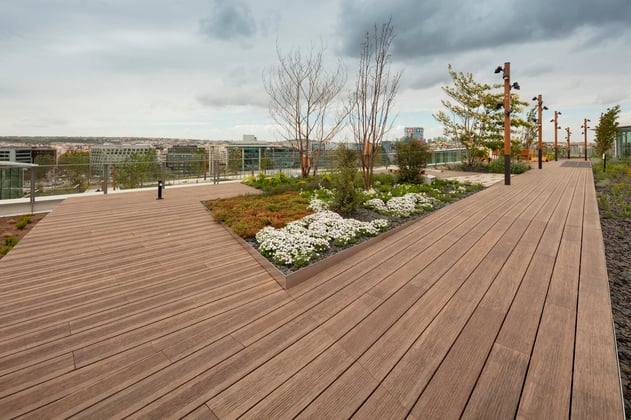 Terrasse Bamboo X-treme sur le toit-terrasse des bureaux Bridge Pont d'Issy