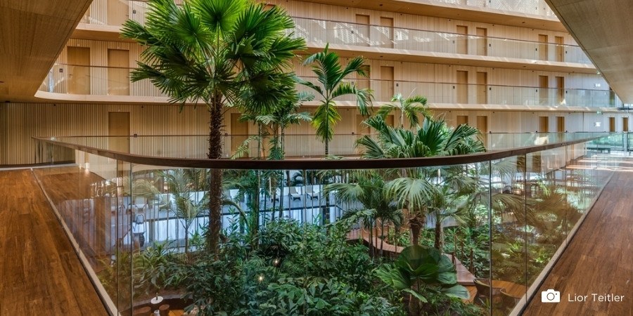 Why bamboo flooring is the flooring of 2023