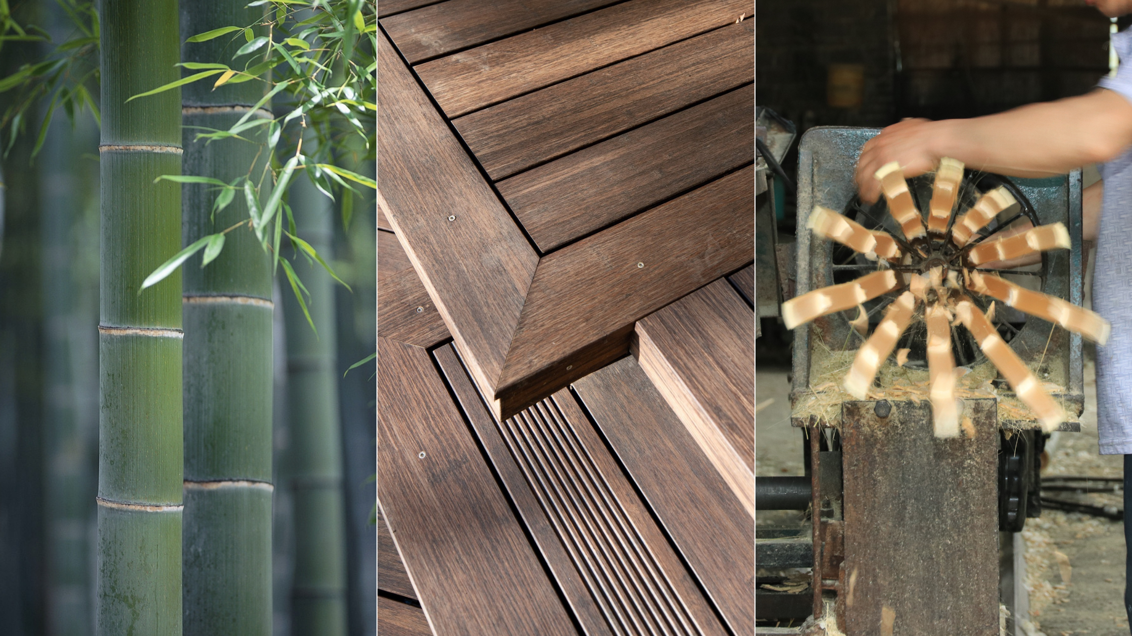 Bamboo wood: why you should use bamboo as wood