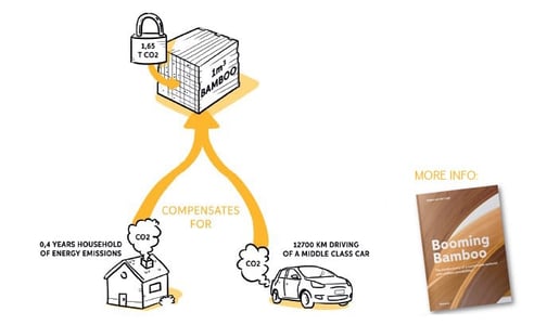 Qual a quantidade de CO2 armazenada em bamboo?