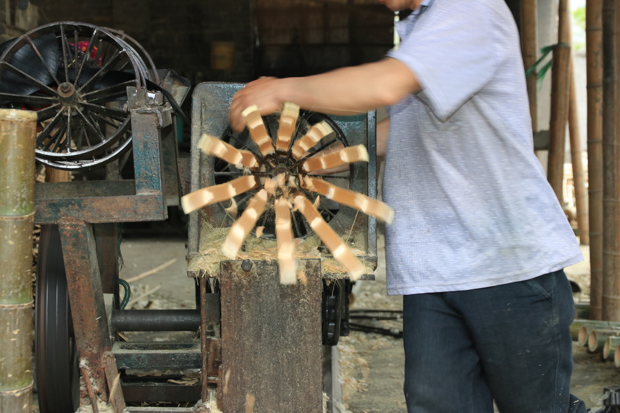 Sustainable production of bamboo at MOSO®