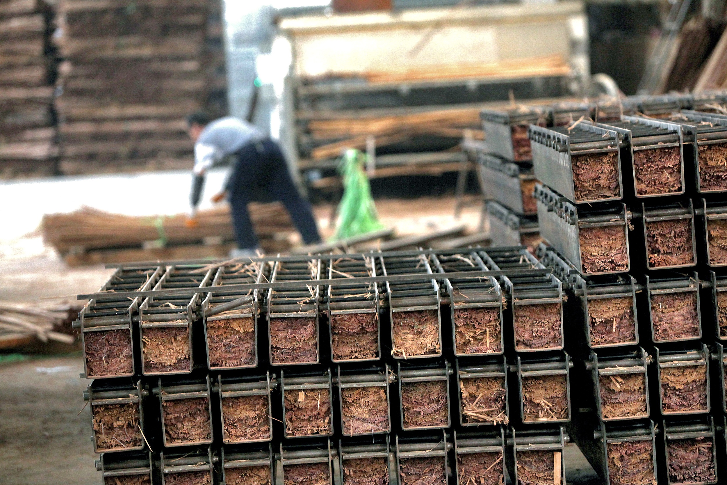 Duurzame productie van bamboe voor buiten